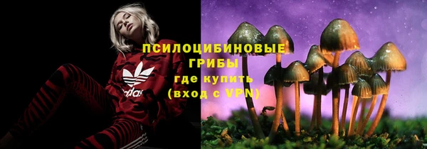 apvp Белоозёрский