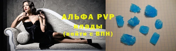 бошки Белокуриха