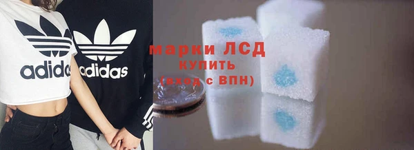 бошки Белокуриха