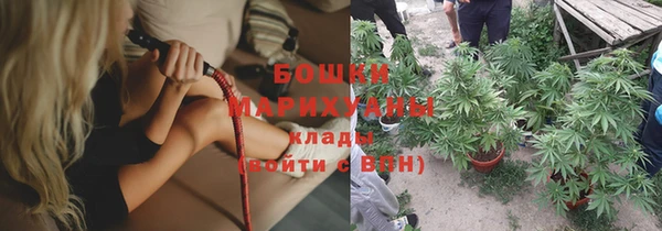 бошки Белокуриха