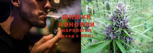 бошки Белокуриха
