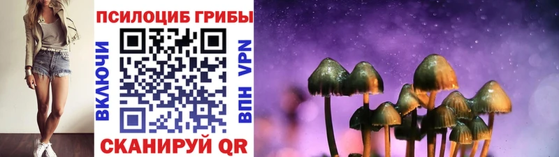 хочу   Печора  Псилоцибиновые грибы прущие грибы 